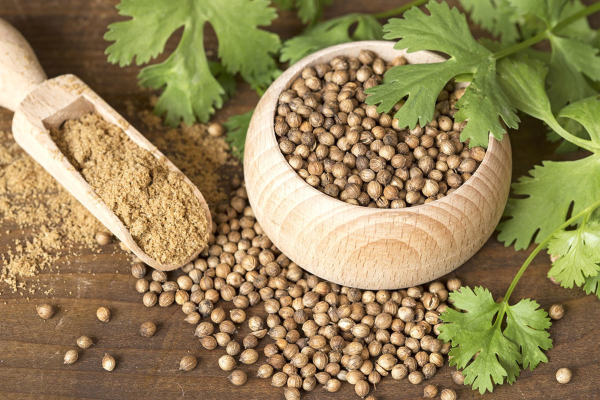 Coriander Seeds (25Kg)