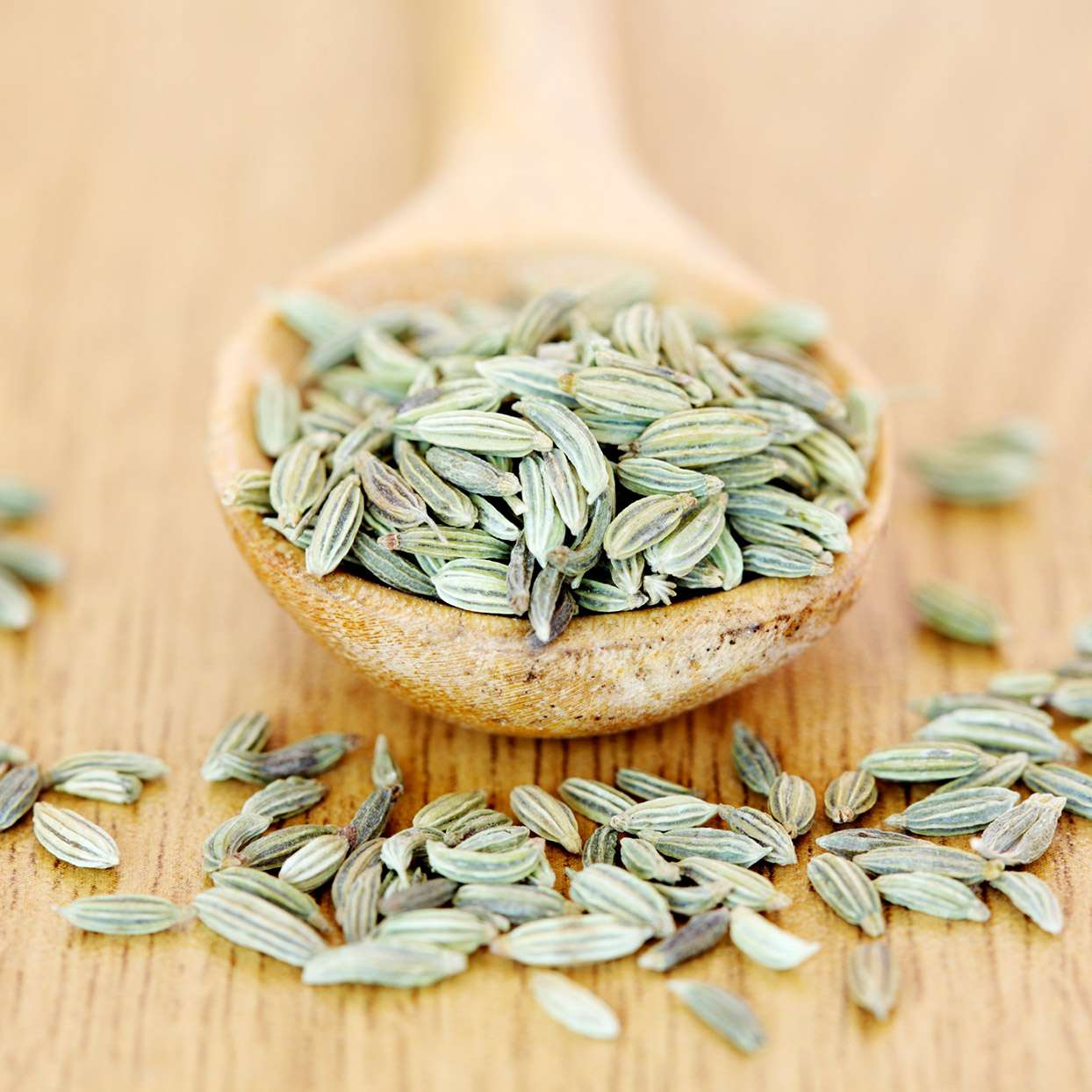 Fennel Seeds (25Kg)